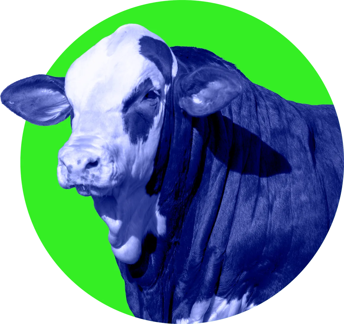 Bovino sobre círculo verde, imagen del 5° Congreso Federal Ganadero